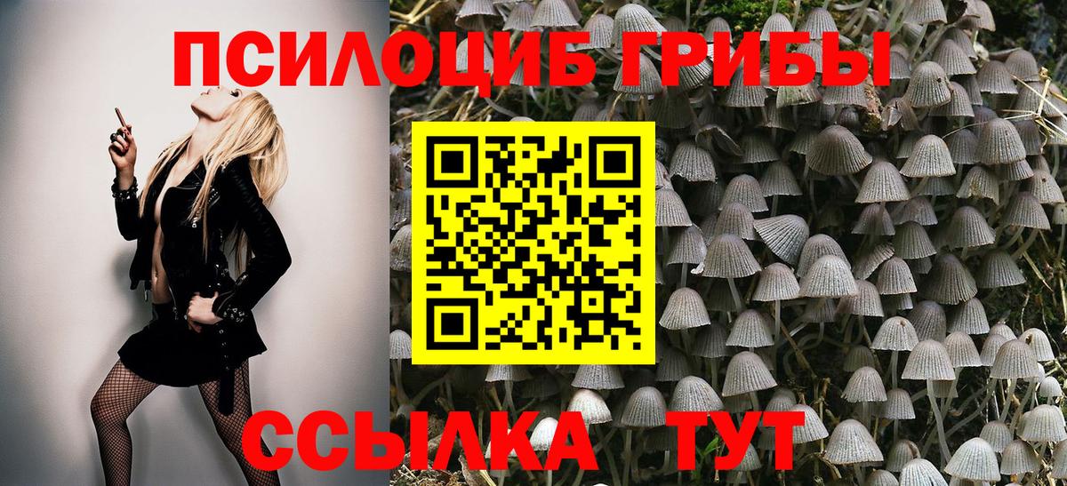 Галлюциногенные грибы Cubensis Калач-на-Дону