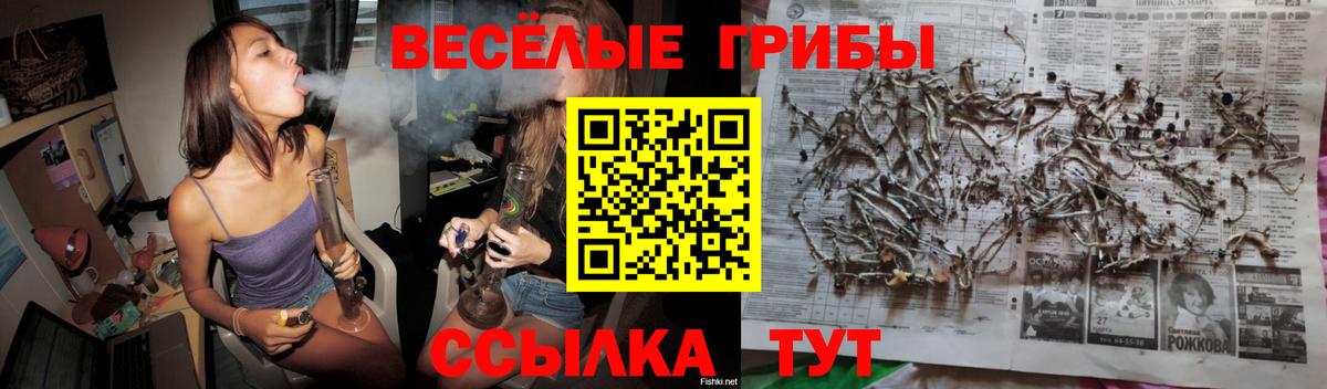 Галлюциногенные грибы MAGIC MUSHROOMS  Псилоцибиновые грибы Cubensis  Вход с VPN  Калач-на-Дону 